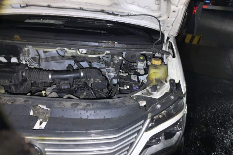 Used FORTHING Lingzhi 2019 V3 1.6L 2-Seat Standard Model China VI Engine Bay Left