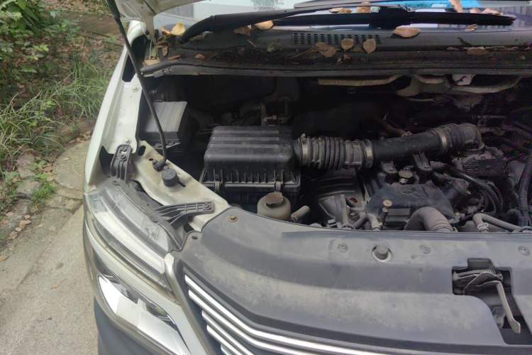 Used FORTHING Lingzhi 2019 V3 1.6L 2-Seat Standard Model China VI Engine Bay Right