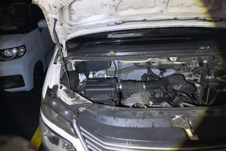 Used FORTHING Lingzhi 2019 V3 1.6L 2-Seat Standard Model China VI Engine Bay Right