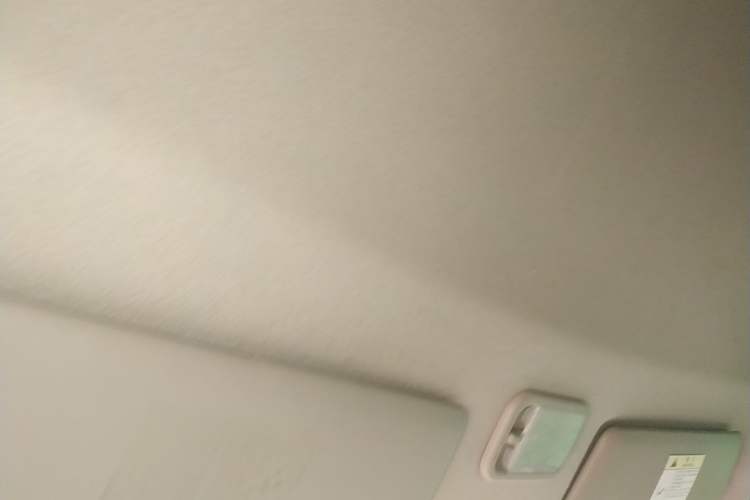 Used FORTHING Lingzhi 2019 V3 1.6L 2-Seat Logistics Version Headliner
