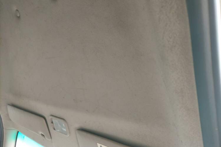 Used FORTHING Lingzhi 2019 V3 1.6L 2-Seat Standard Model China VI Headliner