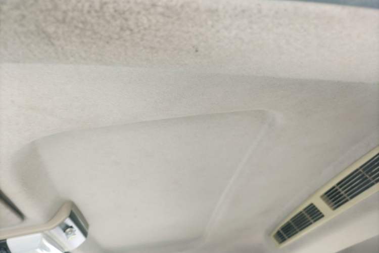 Used FORTHING Lingzhi 2019 M5L 1.6L 7-Seater Standard Model China VI Headliner