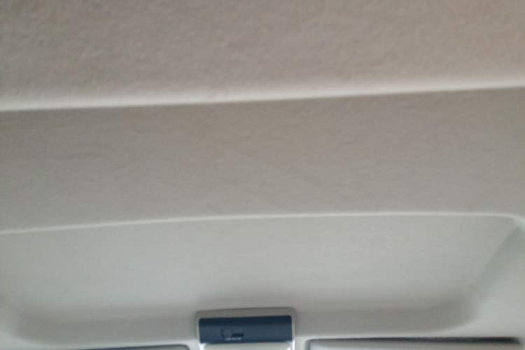 Used FORTHING Lingzhi  Headliner