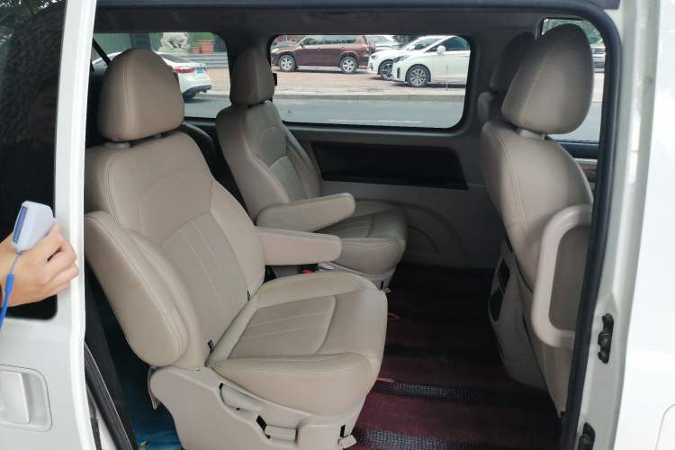 Used FORTHING Lingzhi  Left Rear Seat