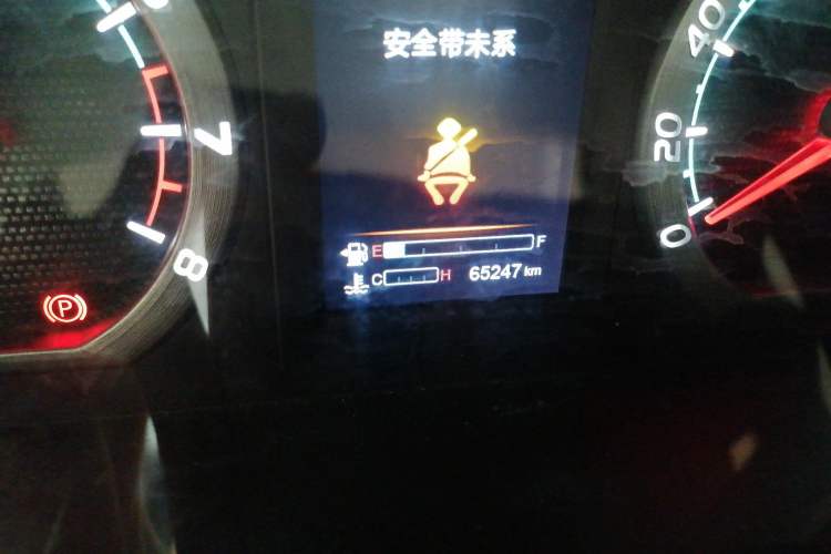 Used FORTHING Lingzhi  Odometer Close Up