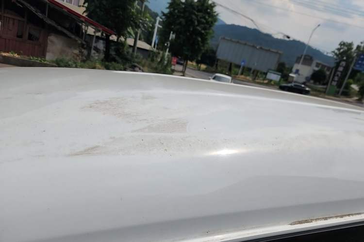 Used FORTHING Lingzhi 2019 M5L 2.0L 7-Seater Comfort Model Roof