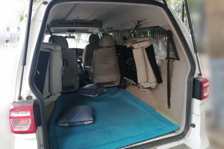Used FORTHING Lingzhi  Trunk