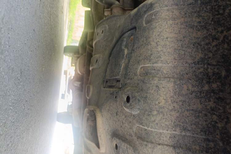 Used FORTHING Lingzhi 2020 M5L 1.6L Luxury 7-Seater Chassis Front