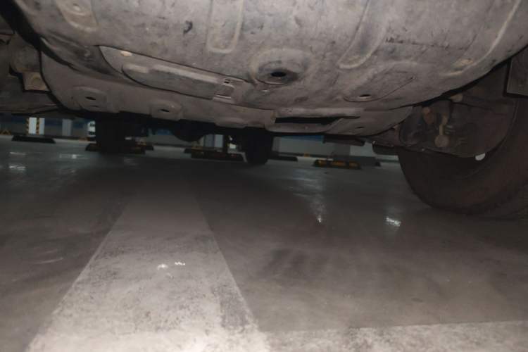 Used FORTHING Lingzhi 2020 M5L 1.6L Base Model 9 Seats Chassis Front