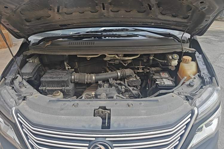 Used FORTHING Lingzhi 2020 M5 1.6L Practical Model Engine Bay