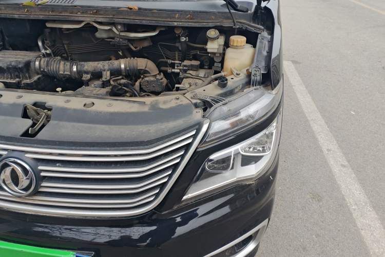 Used FORTHING Lingzhi 2020 M5L 1.6L Utility Model Engine Bay Left