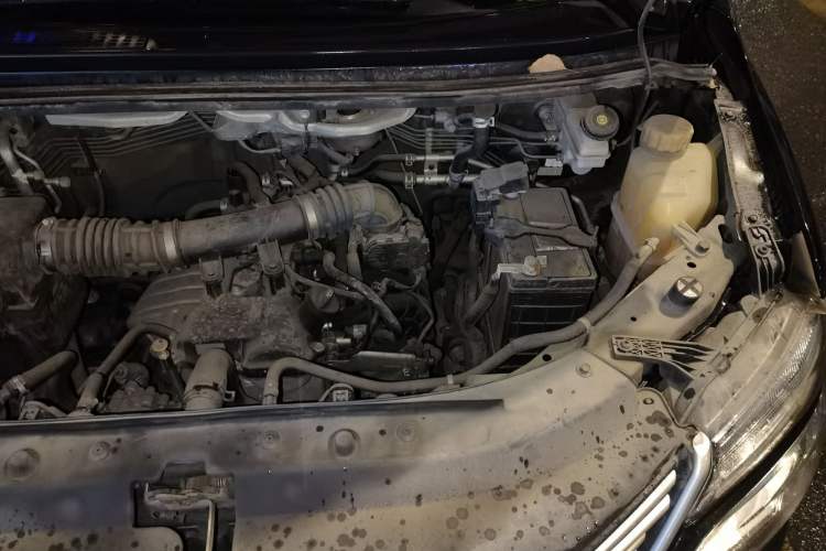 Used FORTHING Lingzhi 2020 M5L 1.6L Utility Model Engine Bay Left