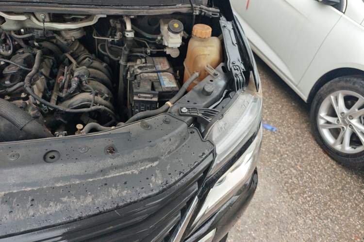 Used FORTHING Lingzhi 2020 M5L 2.0L Base Model 7 Seats Engine Bay Left