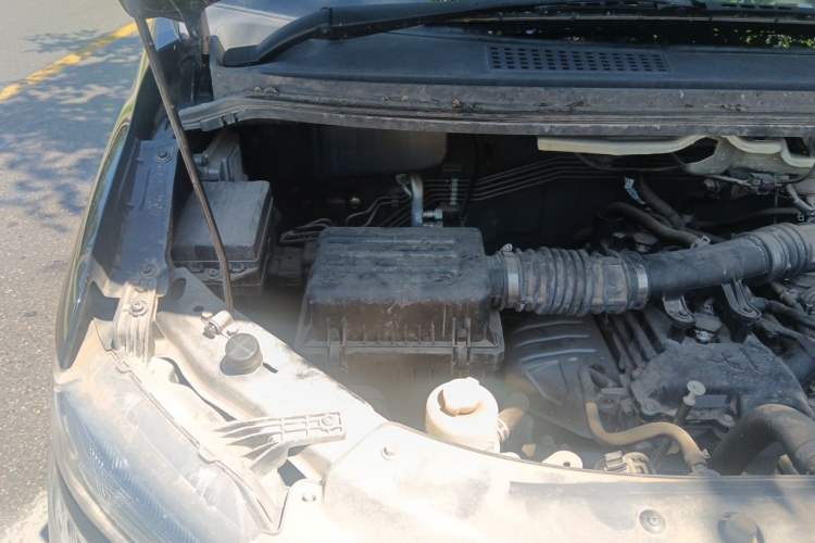 Used FORTHING Lingzhi  Engine Bay Right