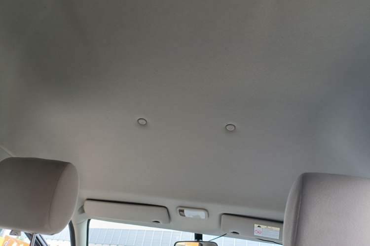 Used FORTHING Lingzhi 2020 M5L 1.6L Utility Model Headliner