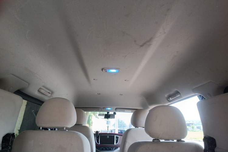 Used FORTHING Lingzhi 2020 M5L 1.6L Base Model 7 Seats Headliner