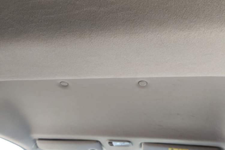 Used FORTHING Lingzhi 2020 M5 1.6L Practical Model Headliner