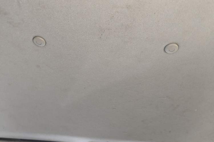 Used FORTHING Lingzhi 2020 M5 1.6L Practical Model Headliner