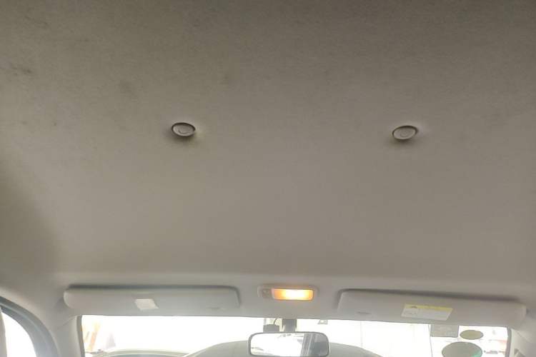 Used FORTHING Lingzhi 2020 M5L 1.6L Utility Model Headliner