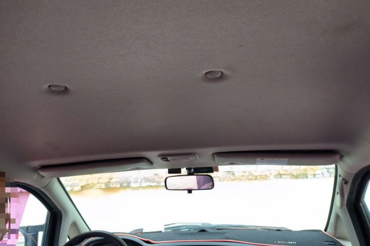 Used FORTHING Lingzhi 2020 M5L 1.6L Utility Model Headliner