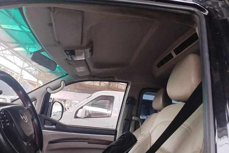Used FORTHING Lingzhi 2020 M5L 1.6L Utility Model Headliner