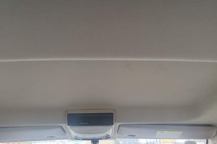 Used FORTHING Lingzhi 2020 M5L 1.6L Luxury 7-Seater Headliner