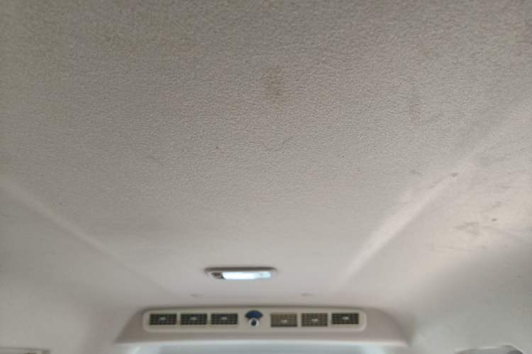 Used FORTHING Lingzhi 2020 M5L 2.0L Base Model 9 Seats Headliner