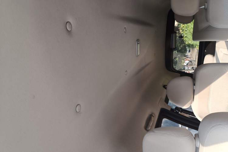 Used FORTHING Lingzhi 2020 M5L 1.6L Base Model 7 Seats Headliner