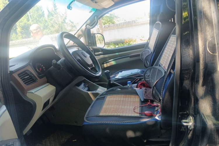 Used FORTHING Lingzhi  Left Front Seat