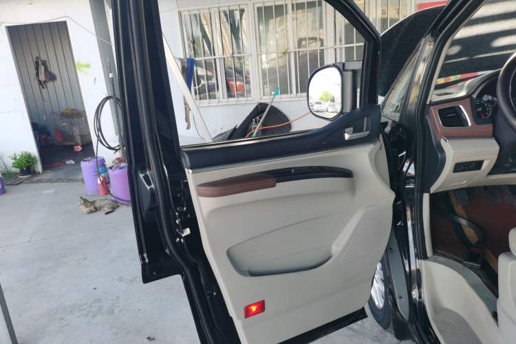 Used FORTHING Lingzhi 2020 M5L 1.6L Luxury 7-Seater Left Rear Door Interior