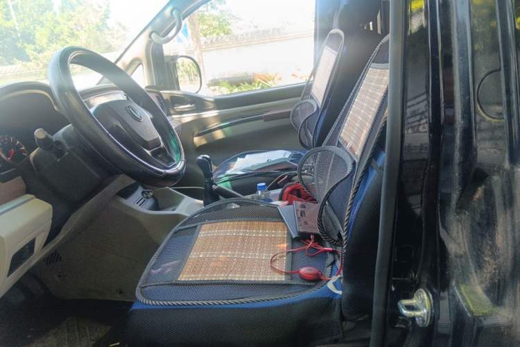 Used FORTHING Lingzhi  Left Rear Seat
