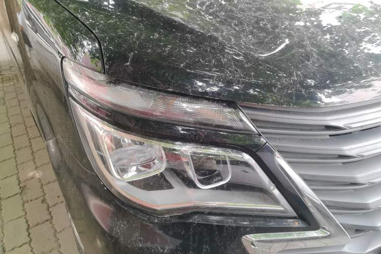 Used FORTHING Lingzhi 2020 M5L 2.0L Base Model 7 Seats Right Front Headlight