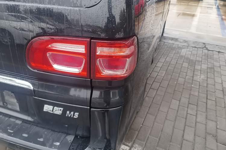 Used FORTHING Lingzhi 2020 M5L 1.6L Luxury 7-Seater Right Rear Taillight