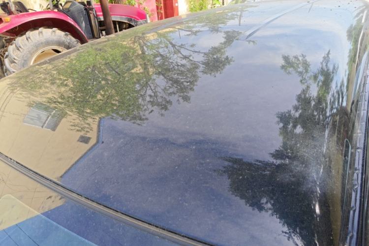 Used FORTHING Lingzhi 2020 M5L 1.6L Utility Model Roof