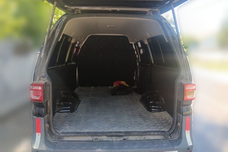 Used FORTHING Lingzhi  Trunk