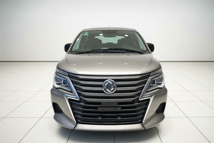 Used FORTHING Lingzhi 2020 M5L 1.6L Luxury 7-Seater Front