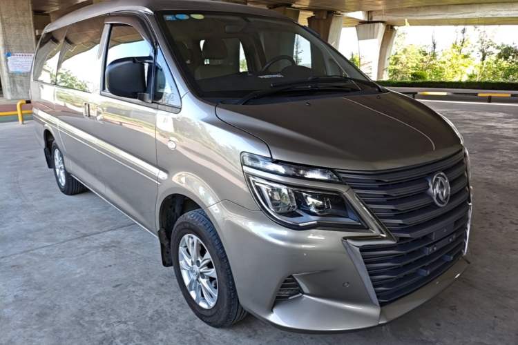 Used FORTHING Lingzhi 2020 M5L 1.6L Luxury 7-Seater Exterior 1