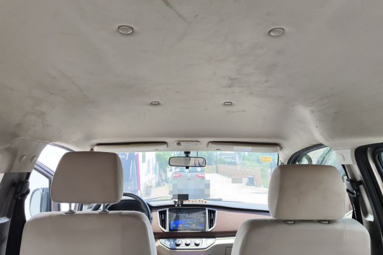 Used FORTHING Lingzhi 2020 M5L 1.6L Utility Model Headliner