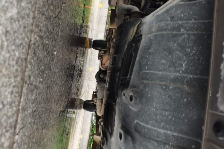 Used FORTHING Lingzhi 2020 M5L 2.0L Luxury 7-Seater Chassis Front