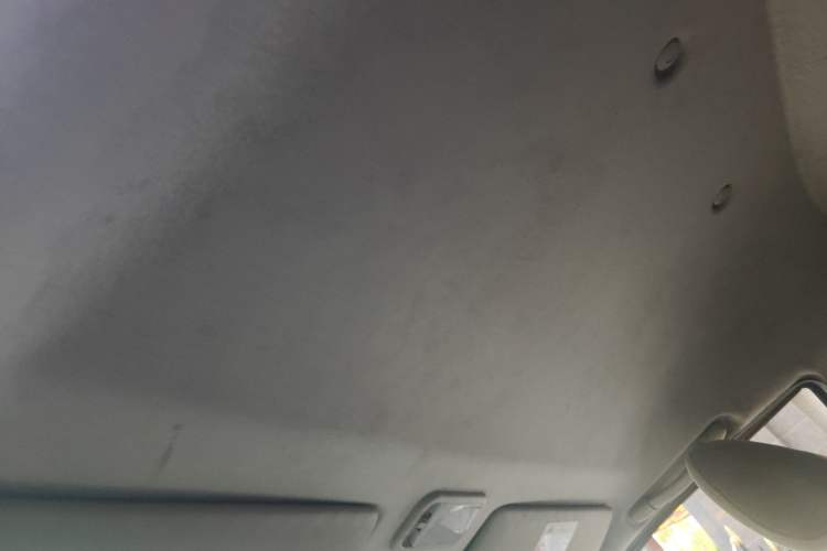 Used FORTHING Lingzhi 2020 M5L 1.6L Utility Model Headliner