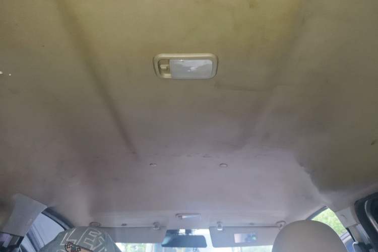Used FORTHING Lingzhi 2020 M5 1.6L Practical Model Headliner