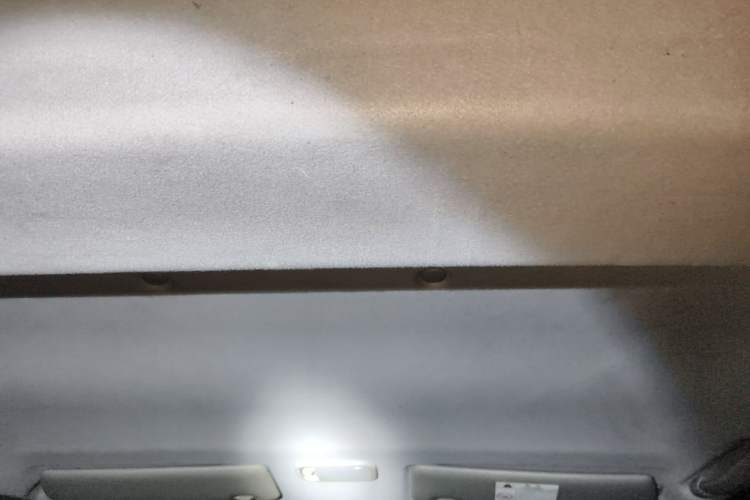 Used FORTHING Lingzhi 2020 M5L 1.6L Utility Model Headliner