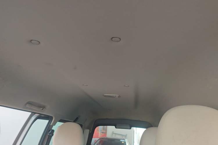 Used FORTHING Lingzhi 2020 M5L 1.6L Base Model 7 Seats Headliner