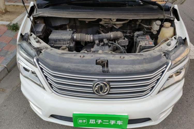 Used FORTHING Lingzhi  Engine Bay