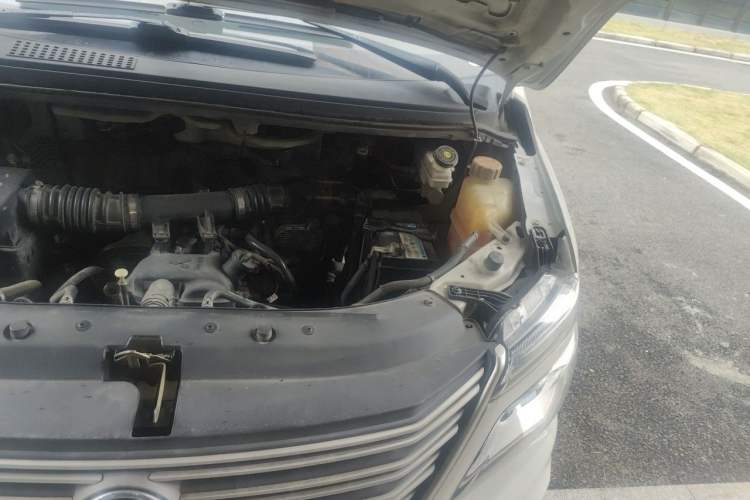 Used FORTHING Lingzhi 2020 M5L 1.6L Utility Model Engine Bay Left