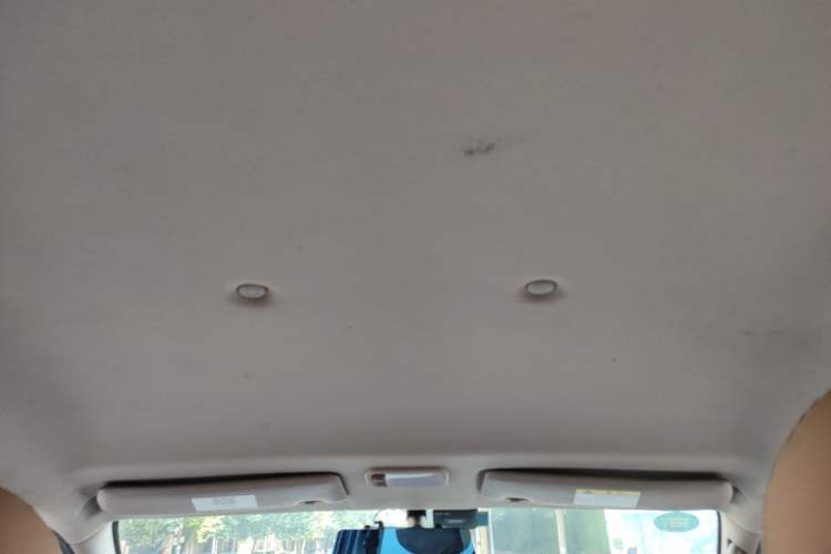 Used FORTHING Lingzhi  Headliner