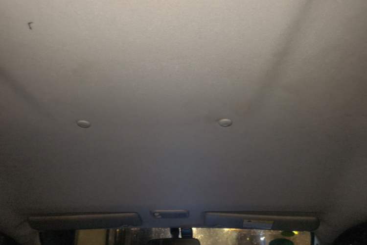 Used FORTHING Lingzhi 2020 M5 1.6L Practical Model Headliner
