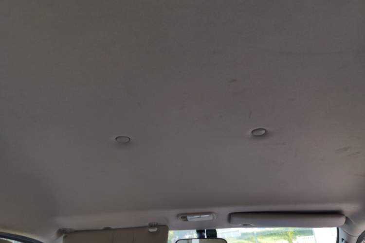 Used FORTHING Lingzhi  Headliner