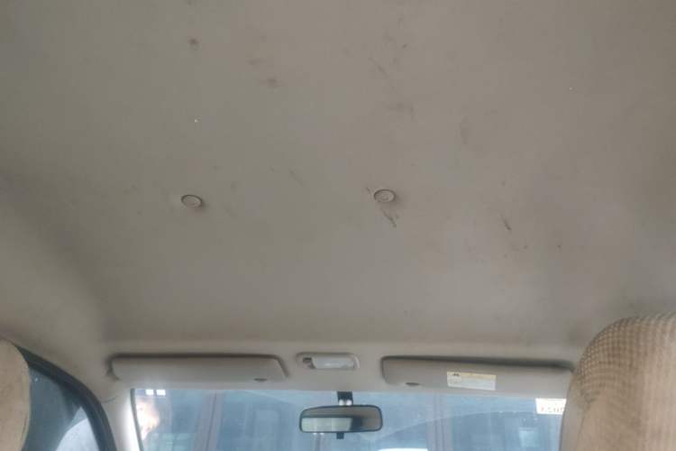 Used FORTHING Lingzhi 2020 M5L 1.6L Utility Model Headliner