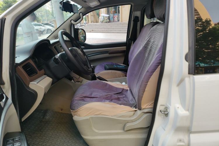 Used FORTHING Lingzhi  Left Front Seat
